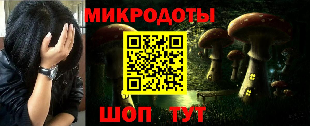 купить наркотики цена  Псилоцибиновые грибы GOLDEN TEACHER  Галлюциногенные грибы мухоморы  Вход с VPN  Нижний Новгород 